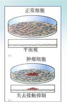 红头文件管酒宴只是治标之策_时事政治_中公教育网：jdb电子网址大全