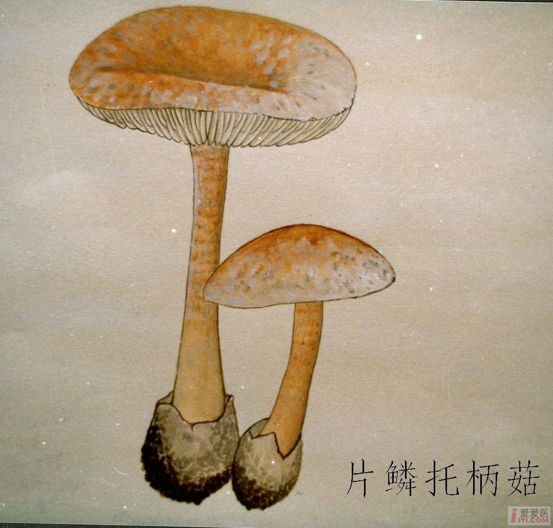 Jdb电子官网