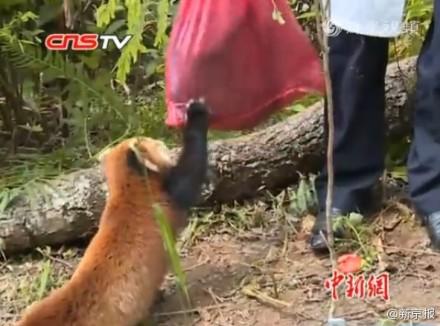 Jdb电子官网